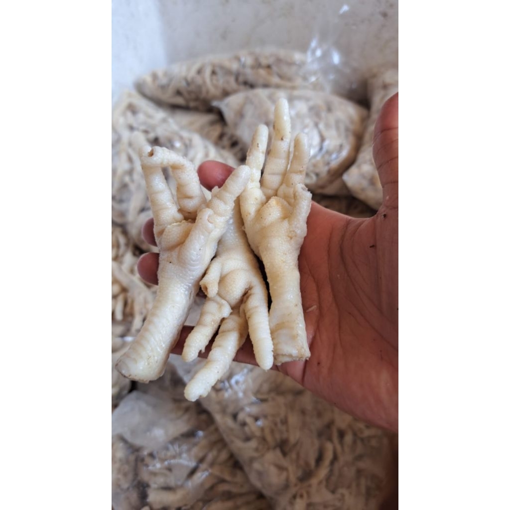 

CEKER TANPA TULANG KEMAS VAKUM