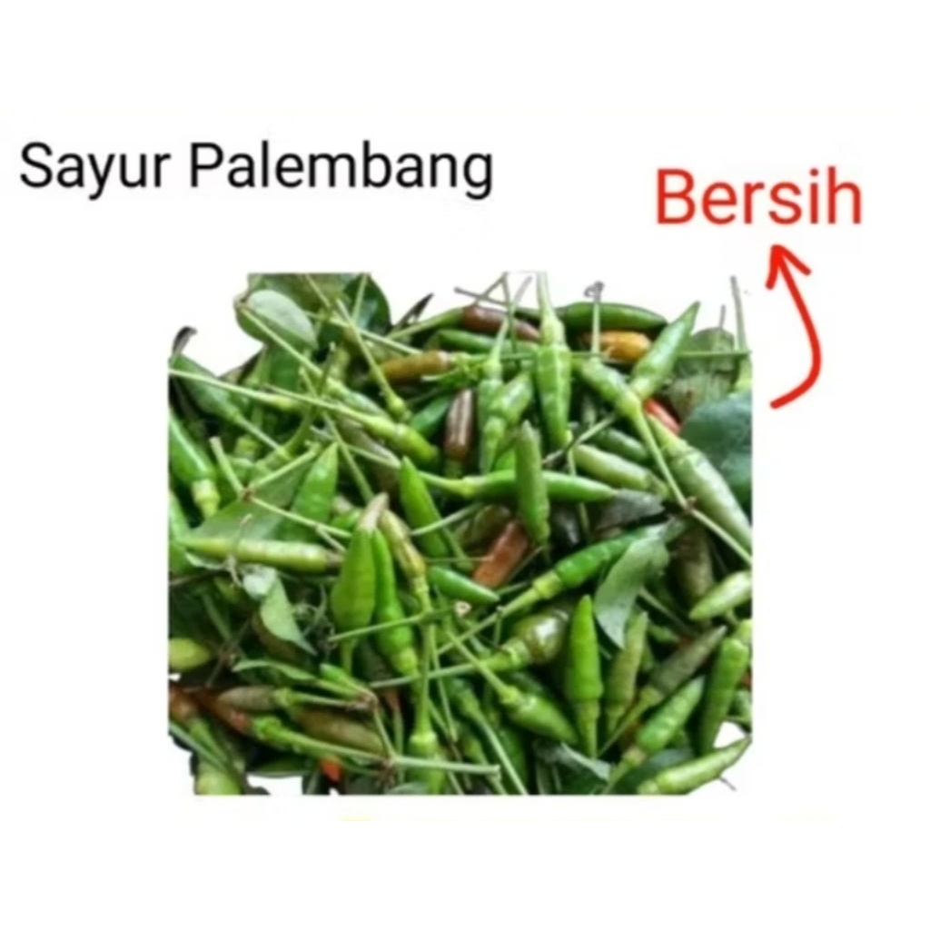 

CABE RAWIT CUKA - Palembang
