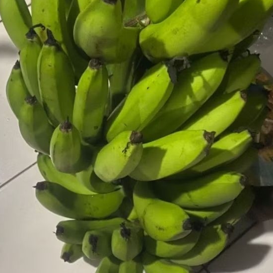 

Buah Pisang Mentah PPR Mhk Prm Pisang Bangkaulu