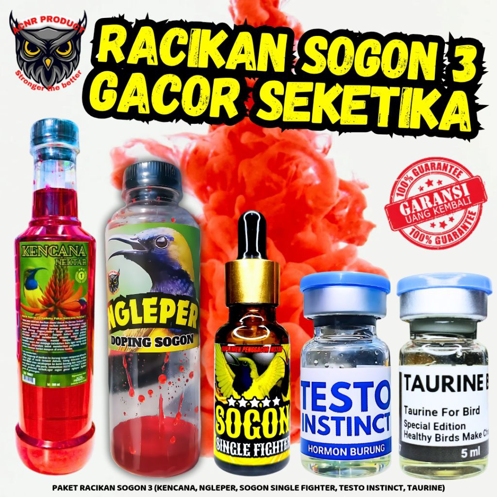 RACIKAN SOGON 3 TESTO INSTINCT TAURINE BIRD SOGON SINGLE FIGHTER NGLEPER KENCANA NEKTAR