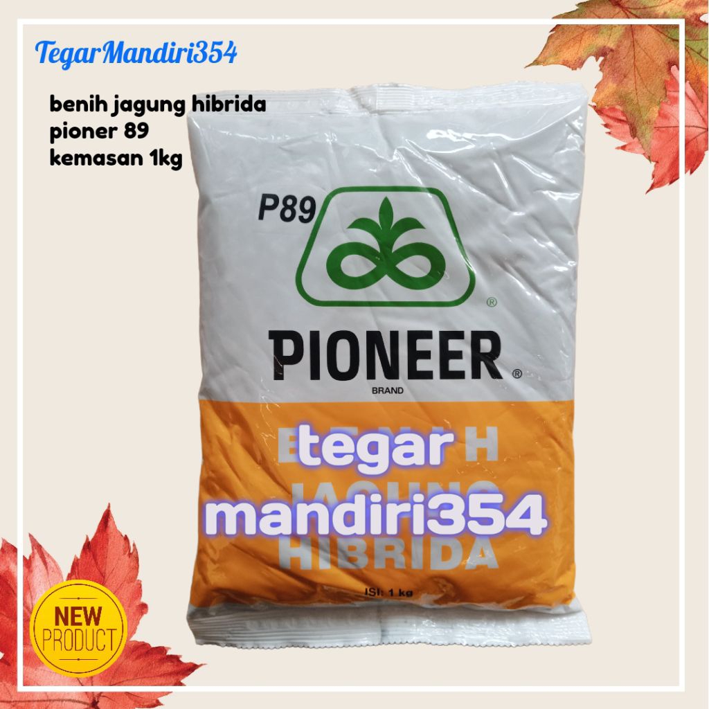 benih jagung hibrida pioner 89 p89 kemasan 1kg benih jagung p89
