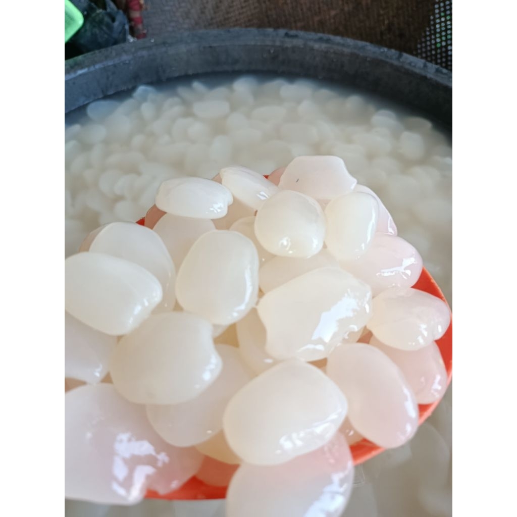 

1 kg kolang kaling super