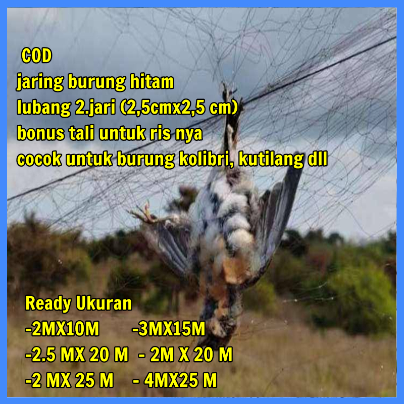 JARING BURUNG EMPRIT PIPIT PRENJAK JARING BURUNG SAWAH SIAP PAKAI JARING BURUNG KECIL JARING