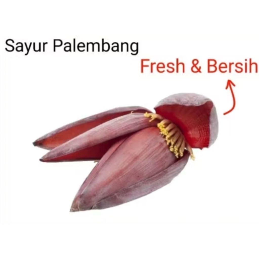 

JANTUNG PISANG - Palembang