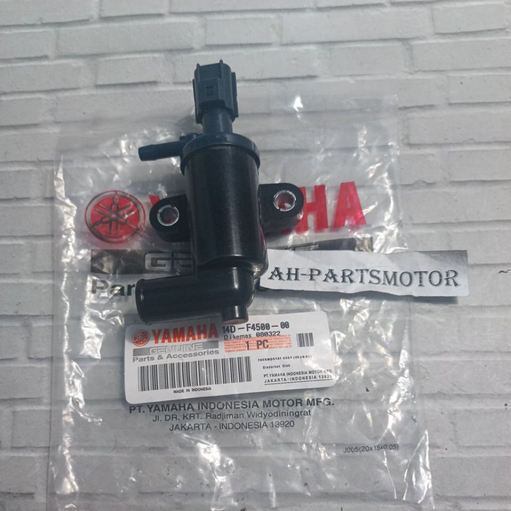 thermostat xeon rc 125 / xeon gt 125