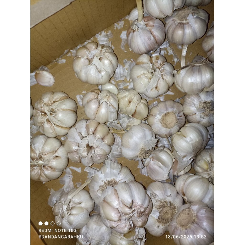 

Bawang Putih Bersih