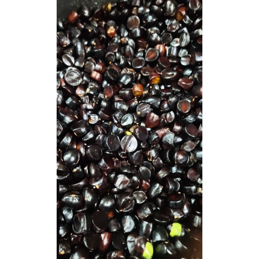 

250 grm jolang jaling dijamin kualaitas super