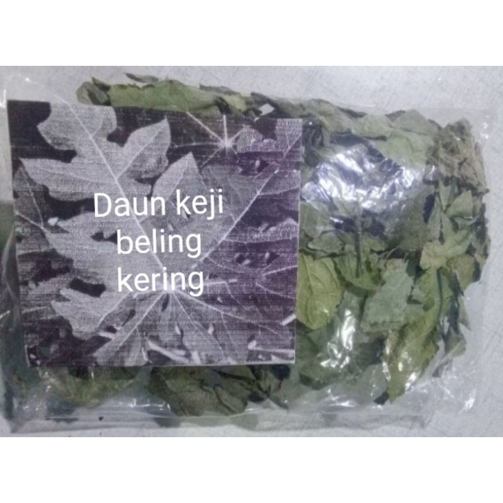 

daun keji beling