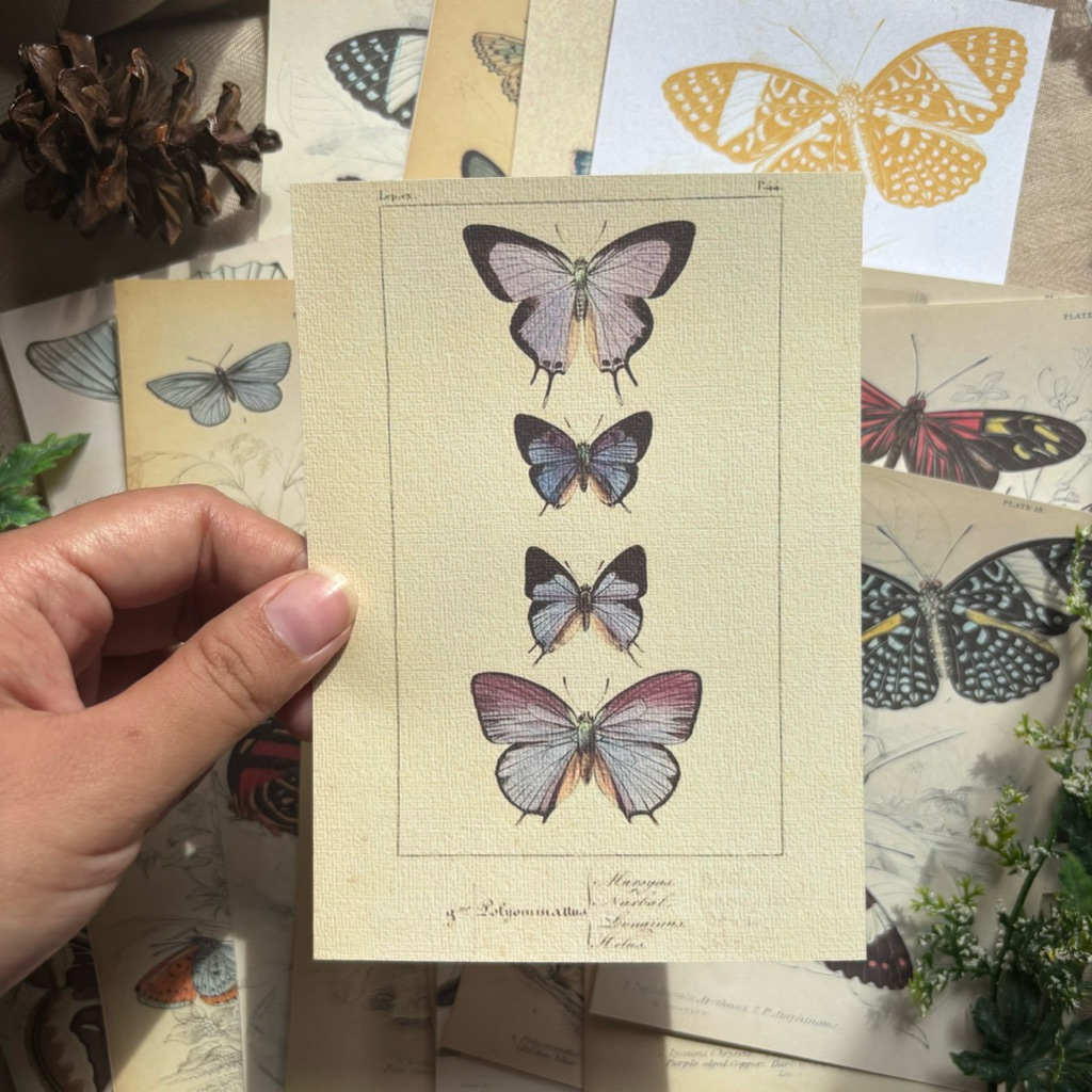 

khalishop - butterfly material paper deco material paper, journal material vintage paper, floral material, journal scrapbook journaling, journal supply, journal kit, scrapbook deco, decorative paper, kertas jurnal, kertas journal, kertas scrapbook, kertas