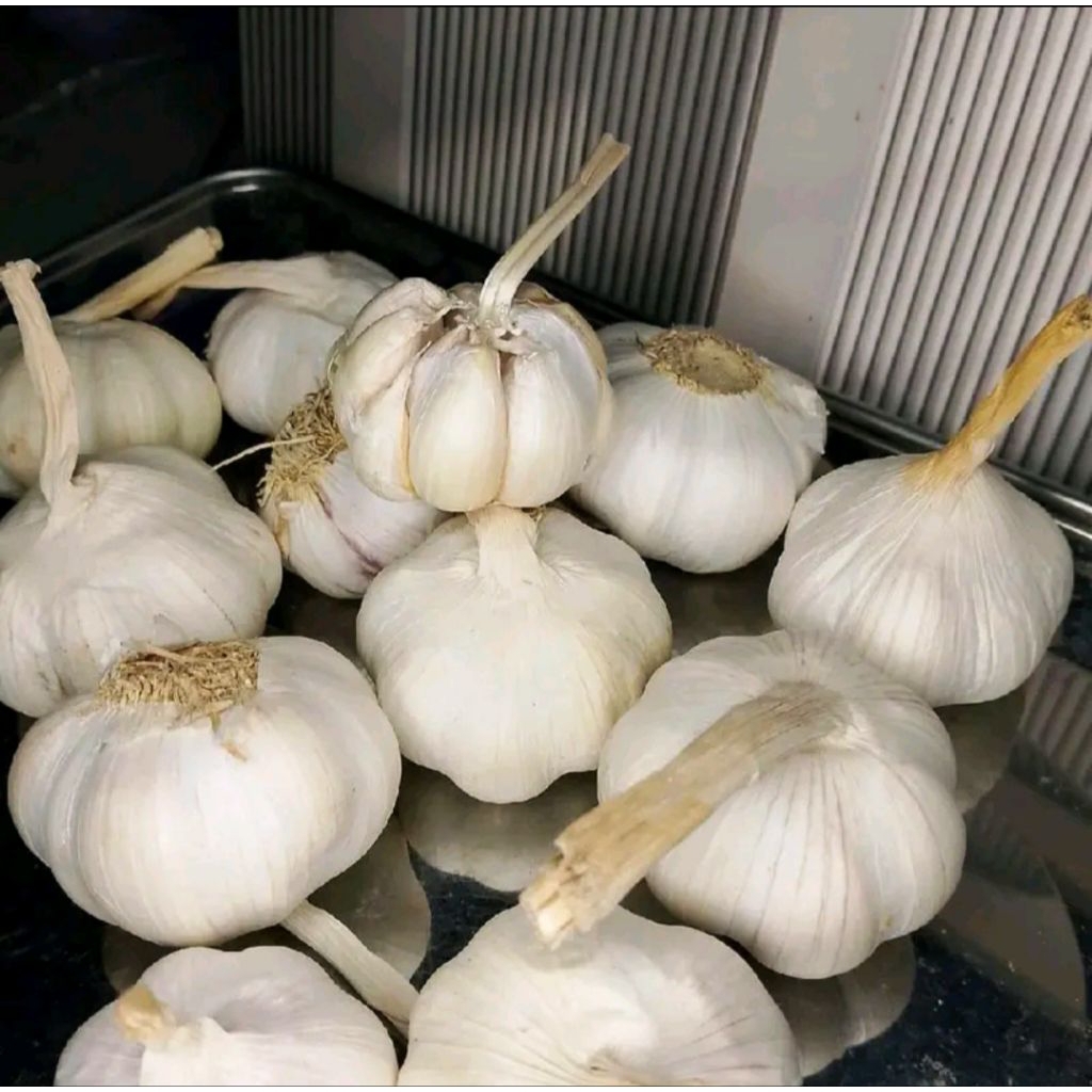 

ready bawang putih 1kg bersih lokal nganjuk