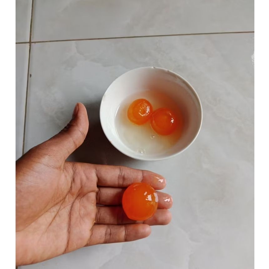 

Telor bebek mentah ukuran kecil | minimal 10 butir