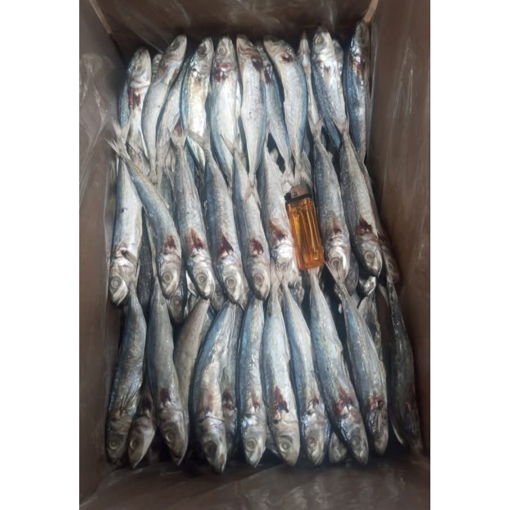 

Ikan Asin Layang Asin 500 Gram