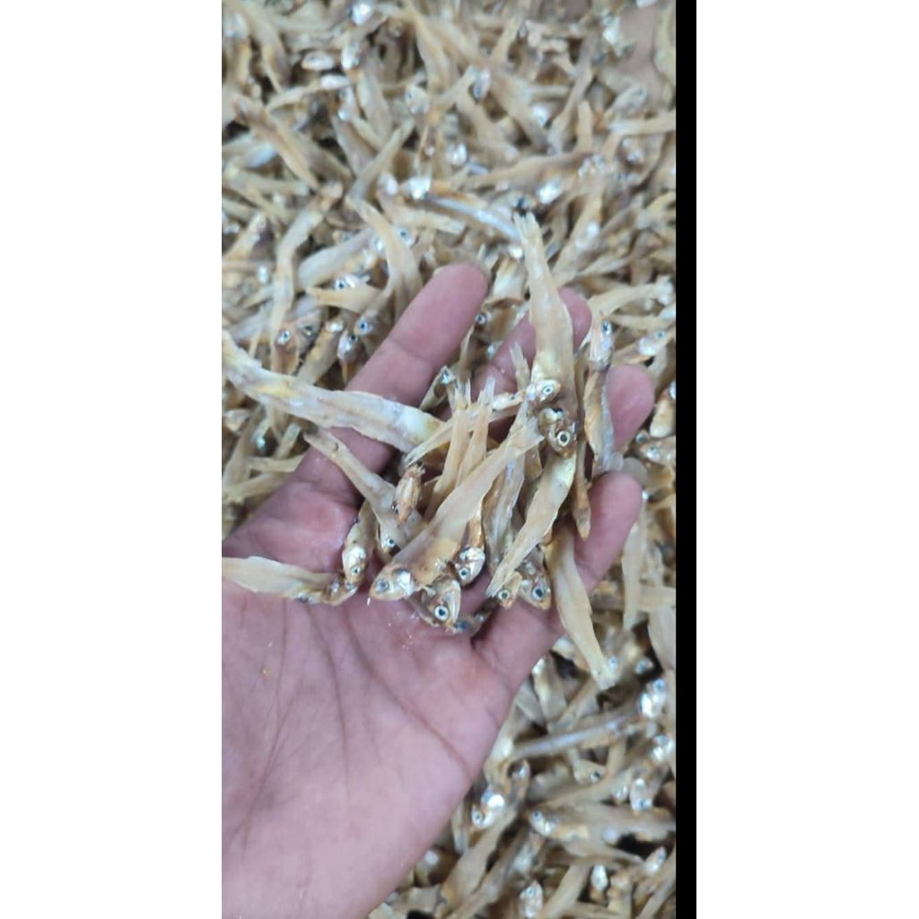 

Ikan Teri Tawar Lampung 1 KG