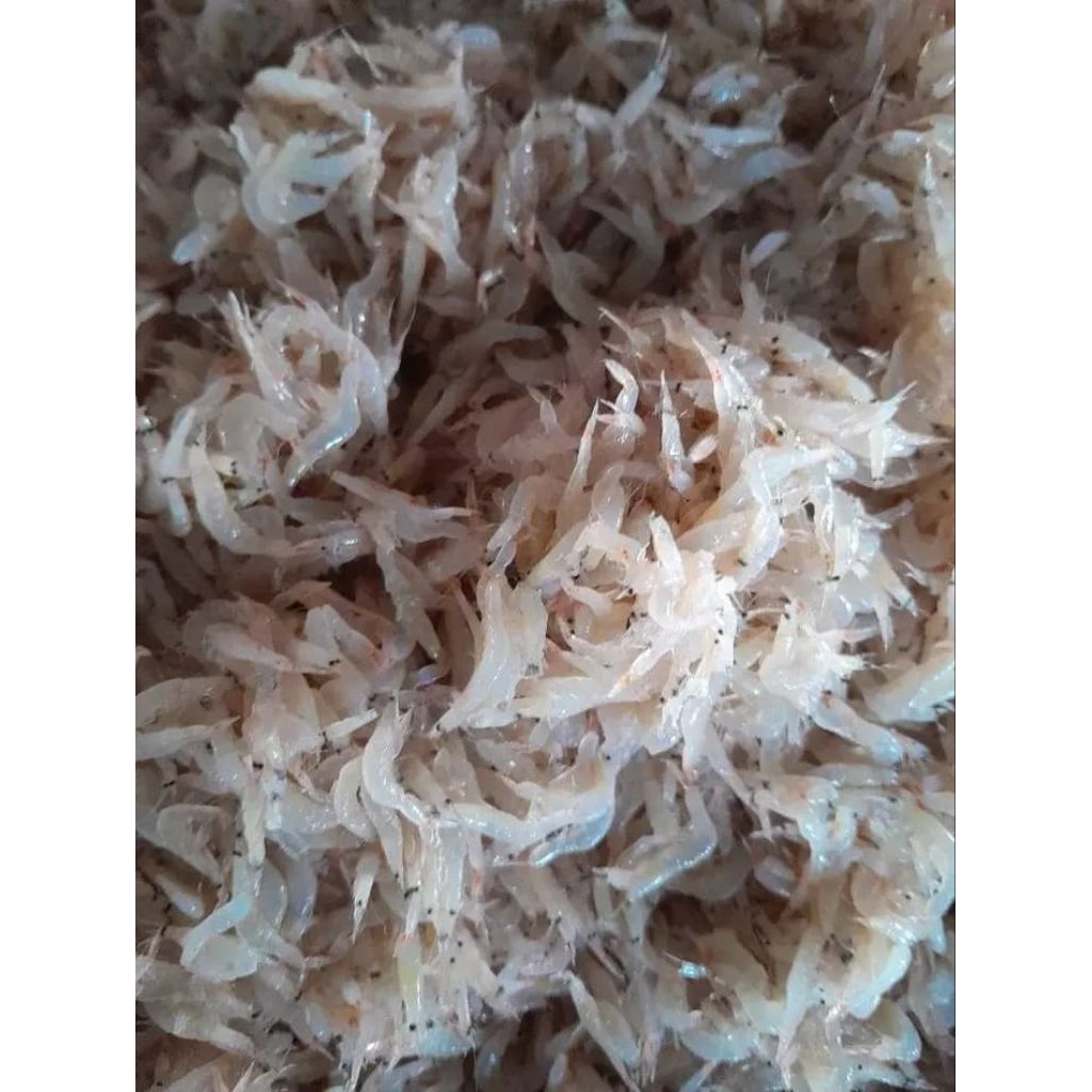 

Teri Nasi Basah 1kg— Segar & Gurih Siap Olah!