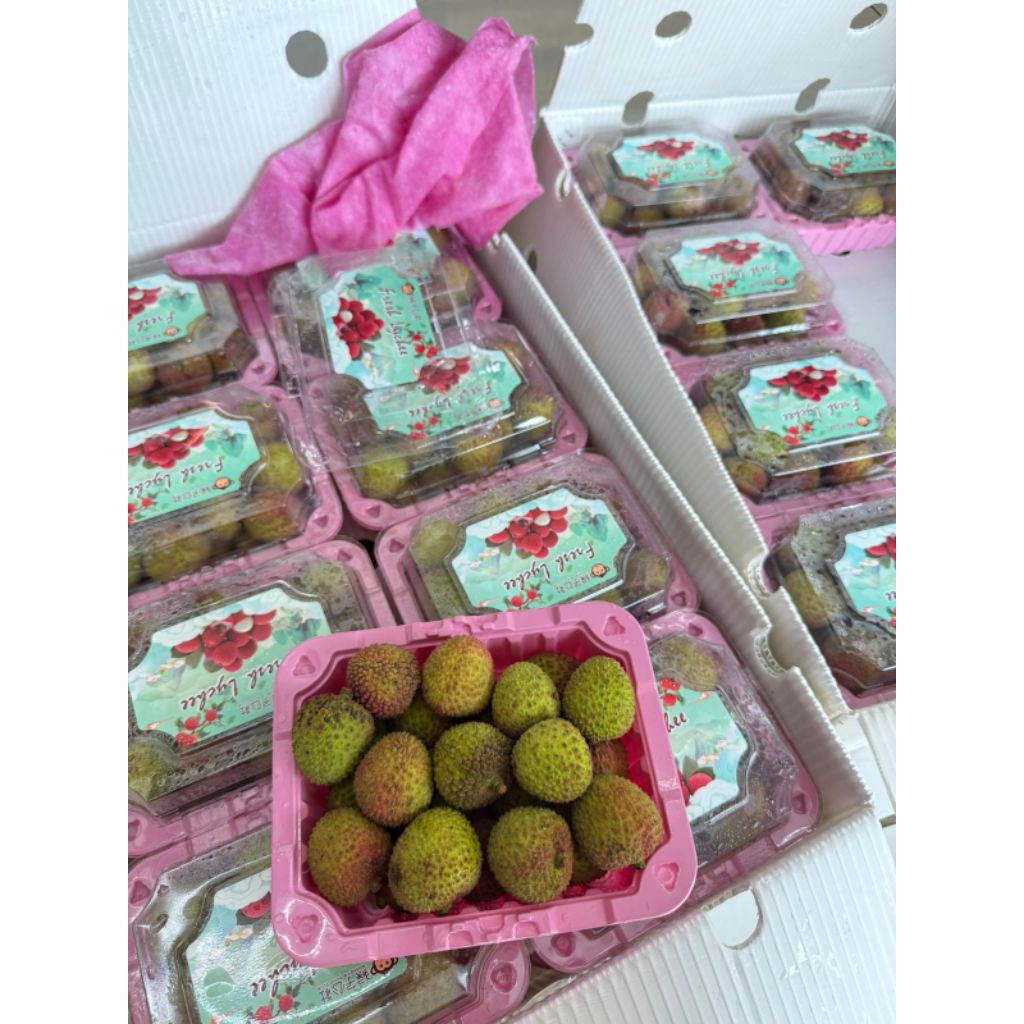 

LECI MADU MANIS