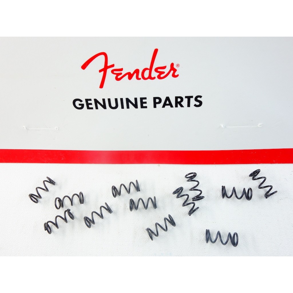 Fender Stratocaster American Deluxe Intonation Springs 0019394049