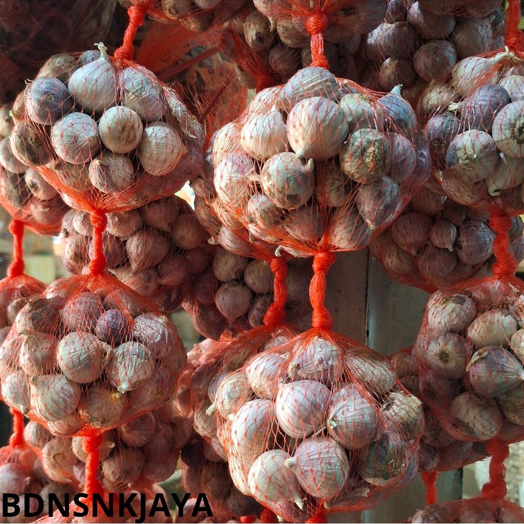 

bawang putih tunggal asli 250gram