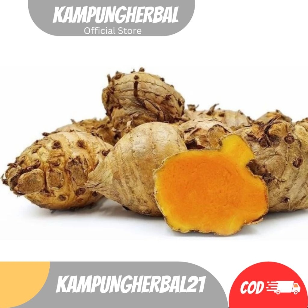 

Temulawak Herbal, Koneng Gede Segar 1kg