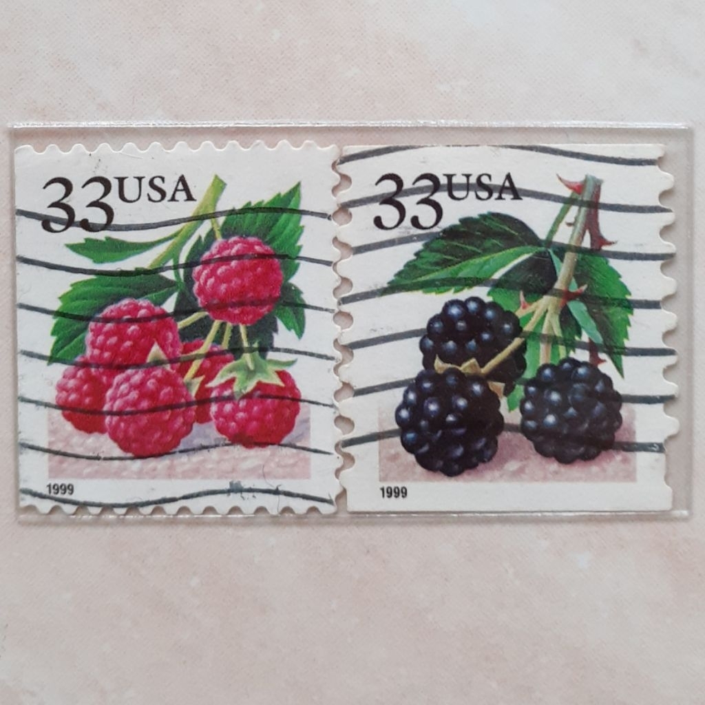 

(A) Perangko USA Fruit Berries Tahun 1999 set 2pcs