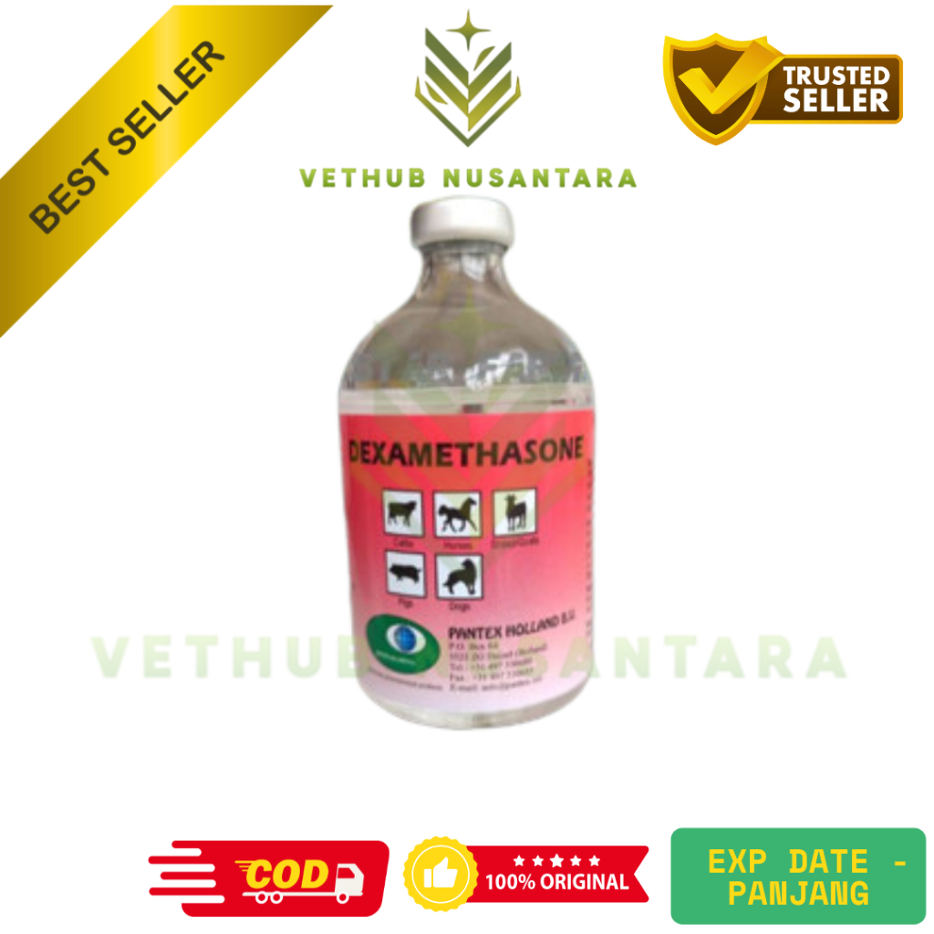Dexamethasone (Pantex Holland)
