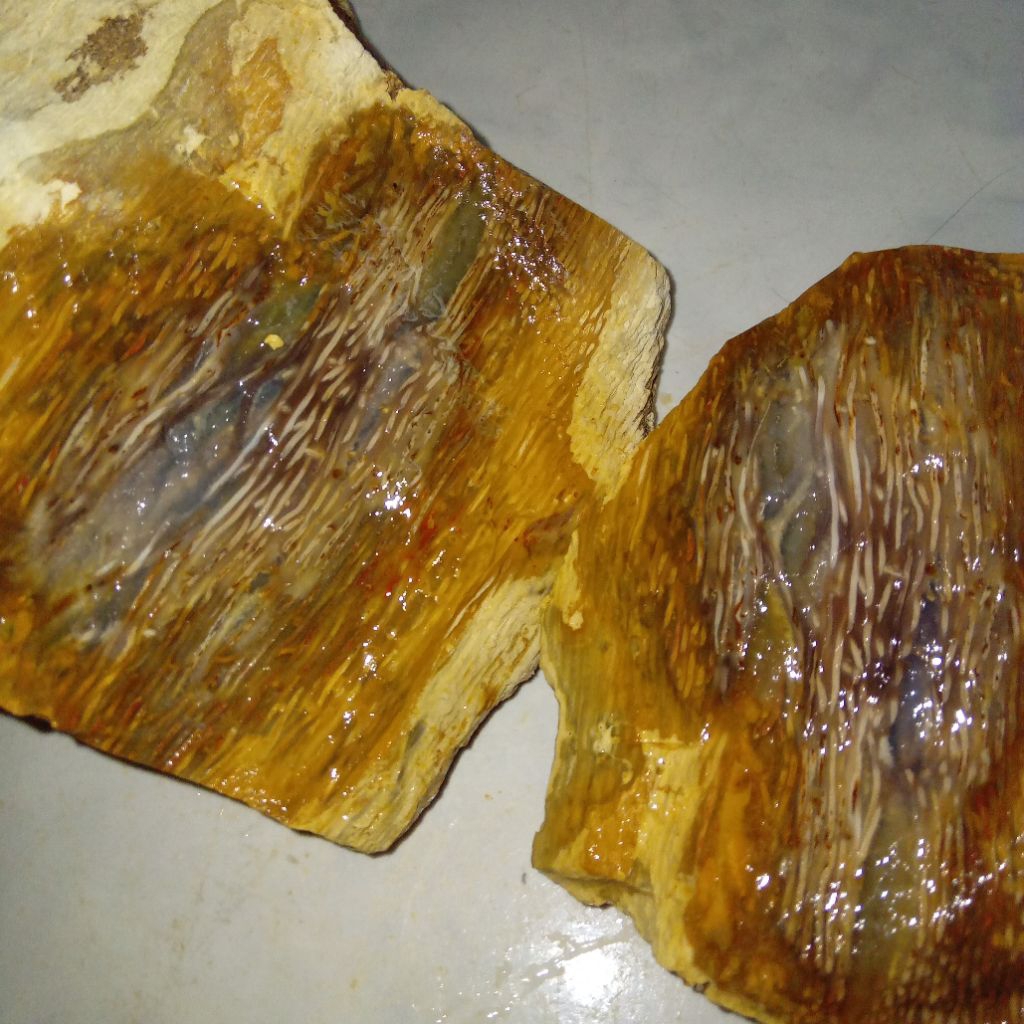 Natural Bongkahan Batu Aren Langka Kwalitas Terbaik