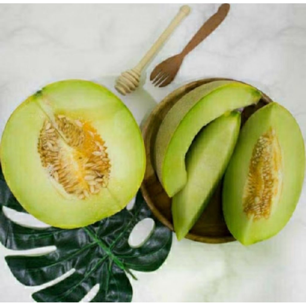 [COD] 150+ Benih melon madu hijau Pertiwi F1/bibit unggul super manis