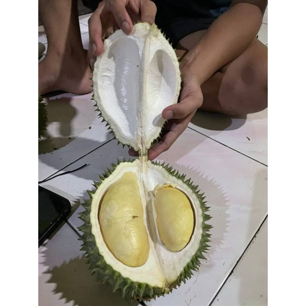 

durian lokal/durian jaminan 100%/durian manis/durian bawor