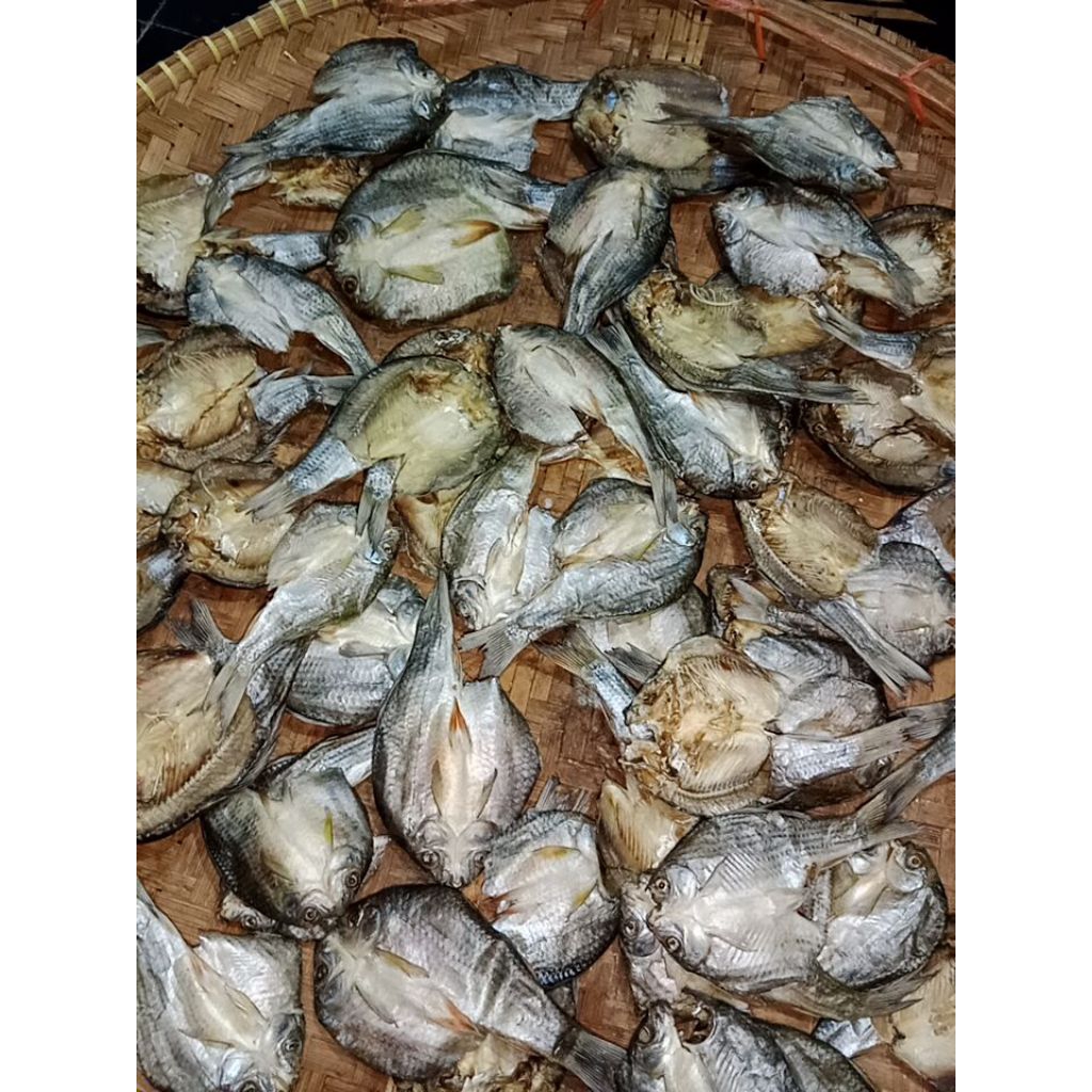 

ikan asin nilem 1kg