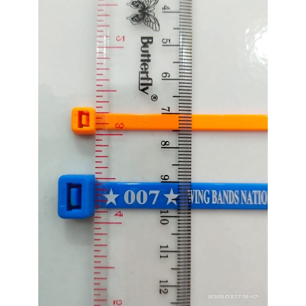 SEGEL AYAM TALI TIES KECIL UK 0.5 cm isi 10 biji bisa request nama