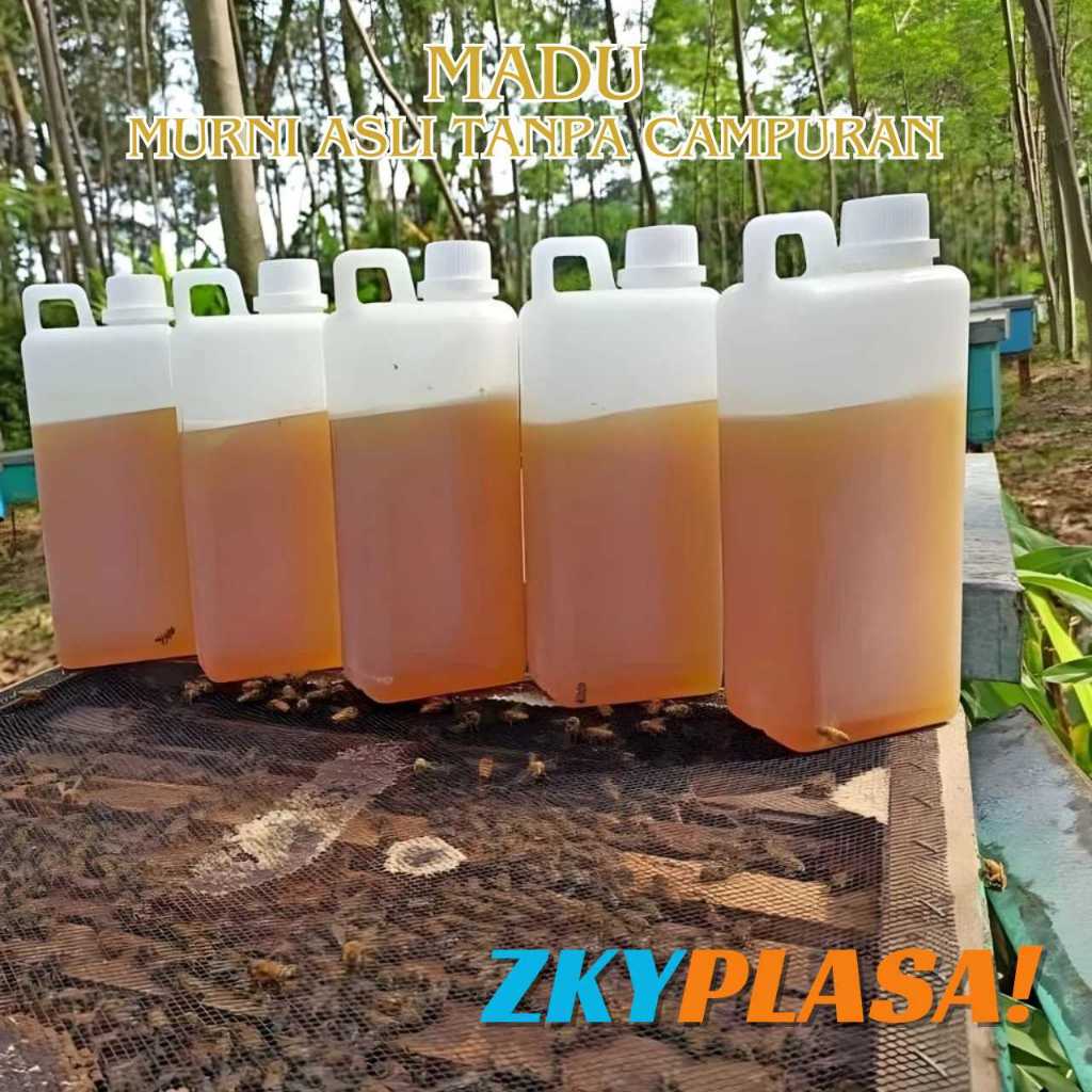 

Madu Hutan Asli ukuran 1Kg Paling murah - Madu Asli MURNI TANPA CAMPURAN LANGSUNG DARI PETERNAK 100%
