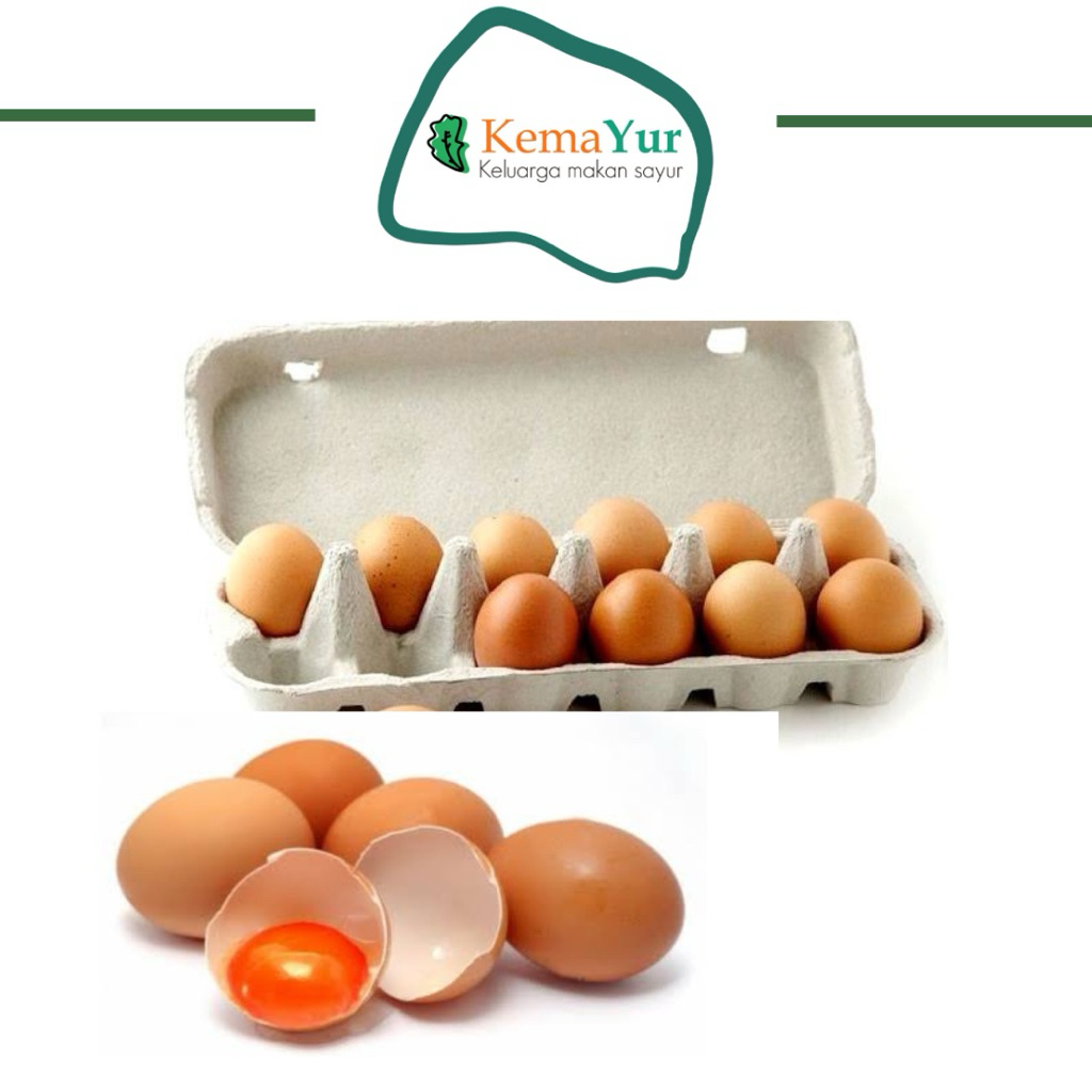 

TELUR OMEGA 10 BUTIR MURAH SURABAYA