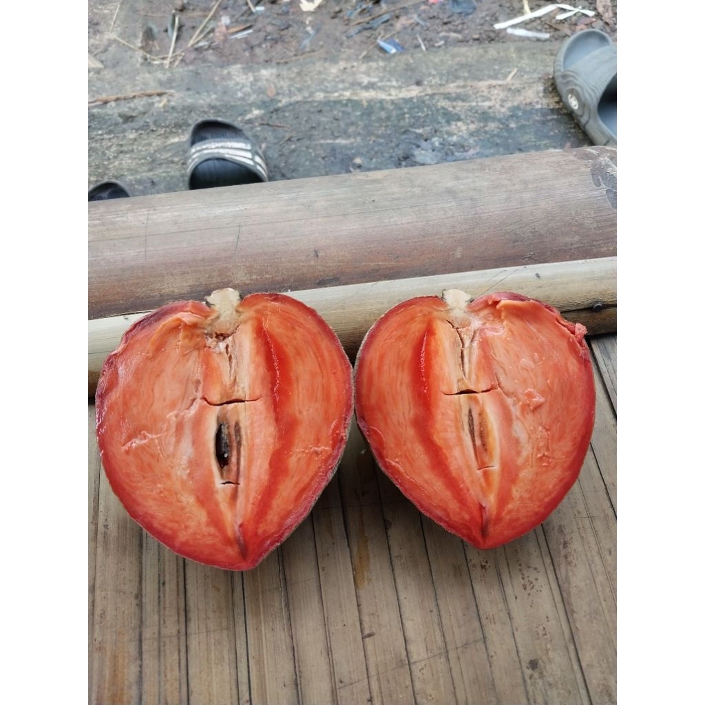 buah mamey sapote