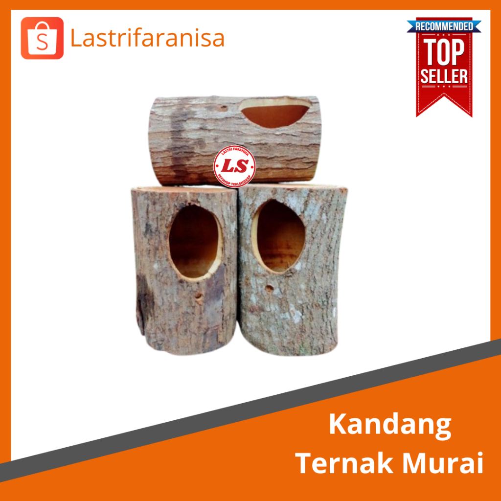 KANDANG TERNAK MURAI Glodog Kandang Burung Murai Kandang Murai Bahan Kayu Kandang Murai Murah