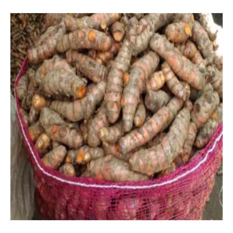 

KUNYIT UTUH SUPER SEGAR UKURAN SEDANG CENDERUNG BESAR