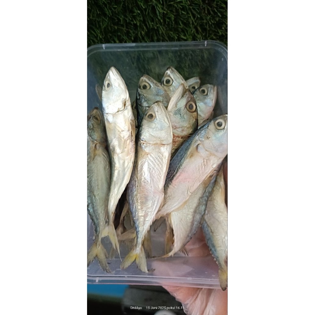 

ikan asin Peda