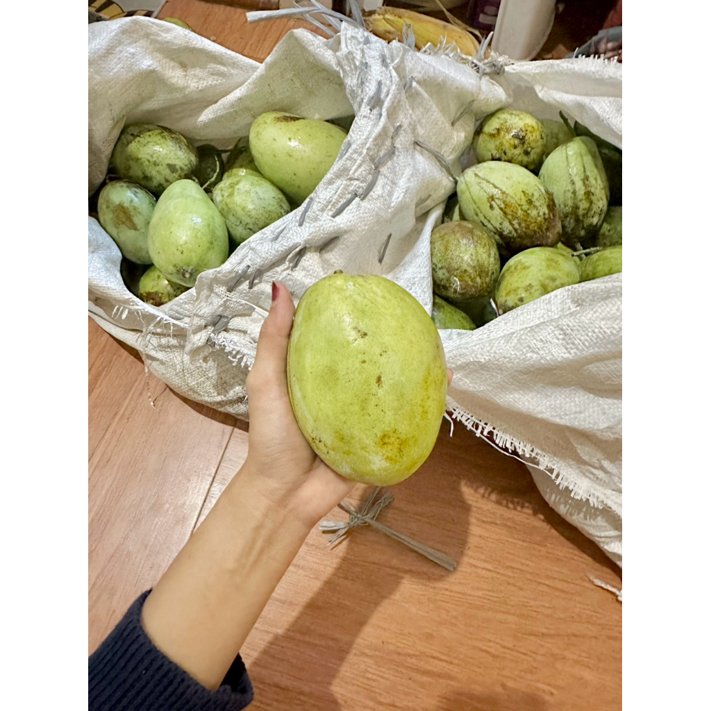 

Mangga Cengkir Gumading 1kg