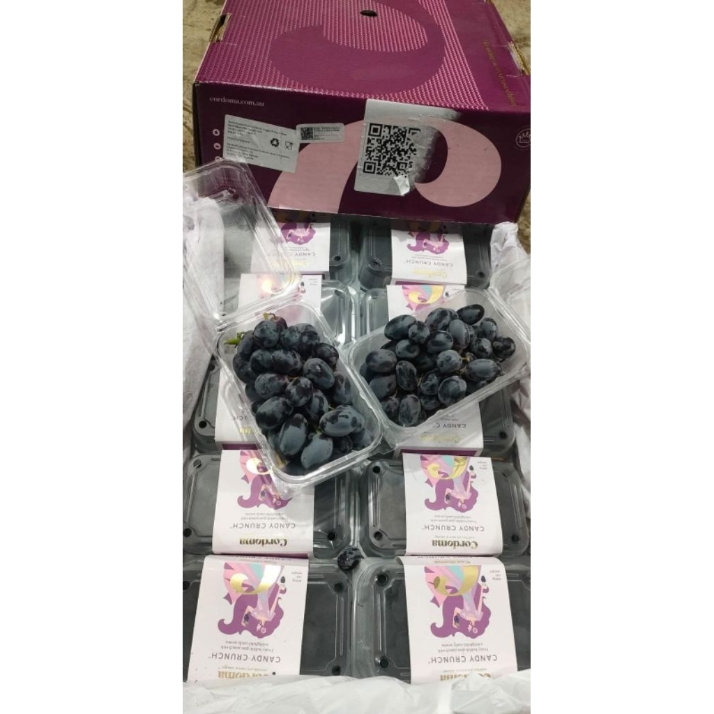 

Anggur candu cordoma manis tnp biji -500 gr per pac