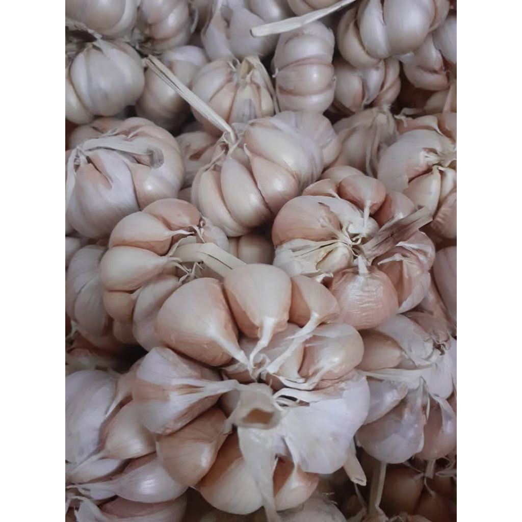 

Bawang putih bersih 250 gram