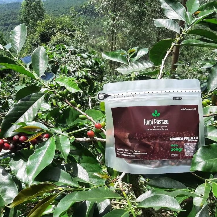 

Kopi Arabica Fullwash Palasari