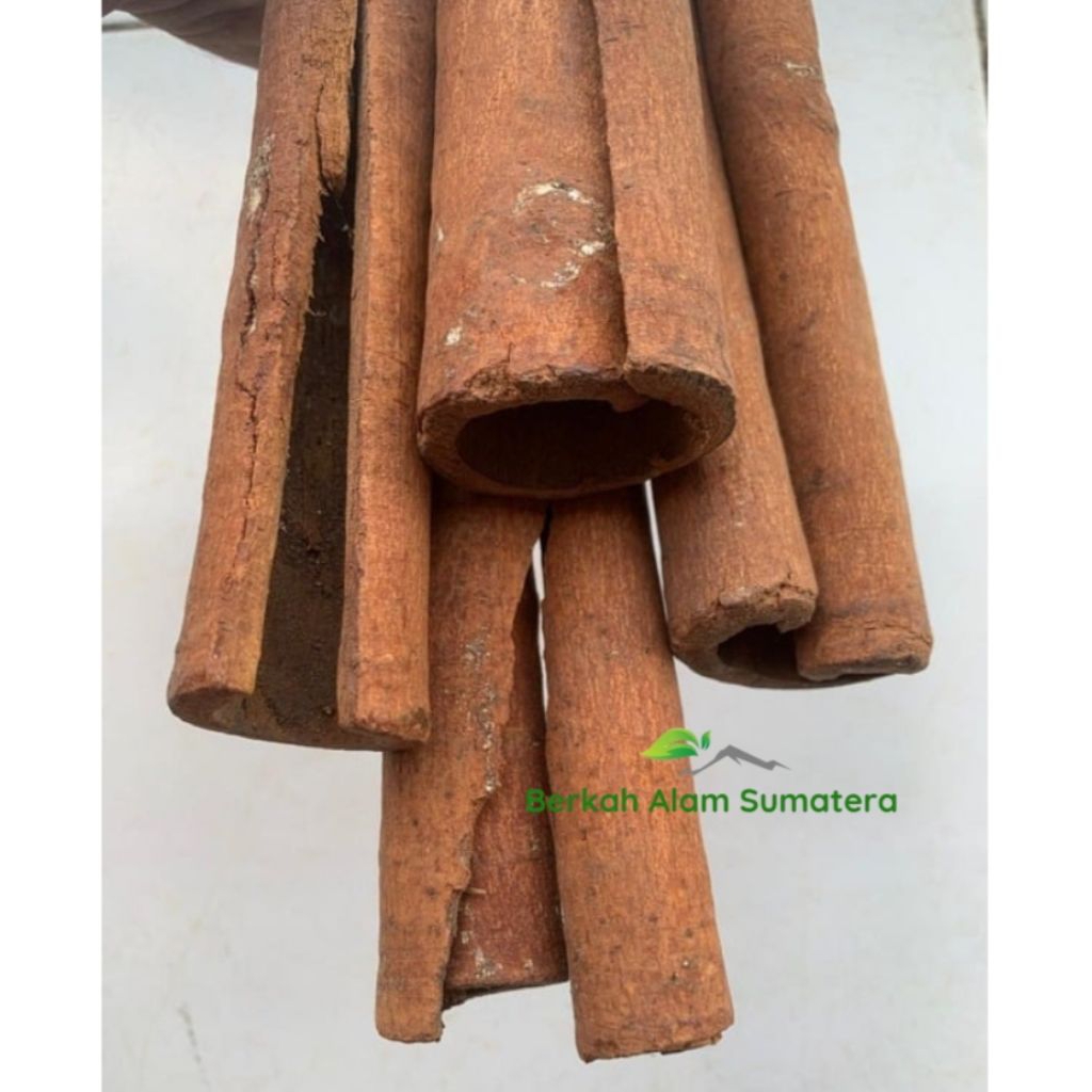 

KAYU MANIS KULIT MANIS CINNAMON KULIT TEBAL KUALITAS SUPER