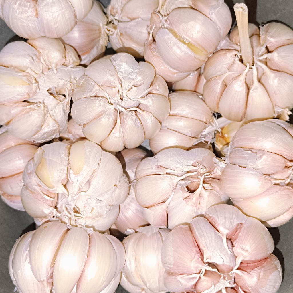 

Bawang Putih Fresh 1kg | Murah