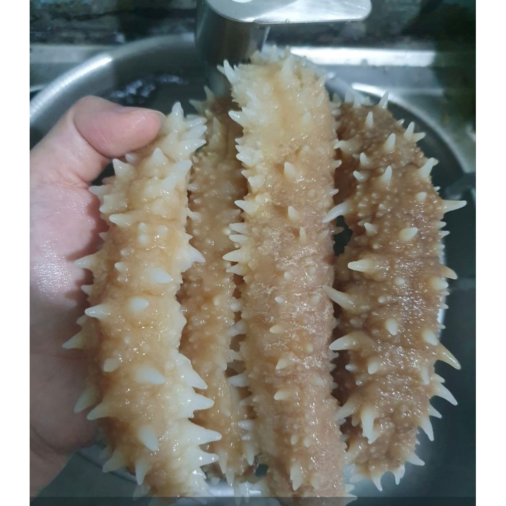 

haisom duri