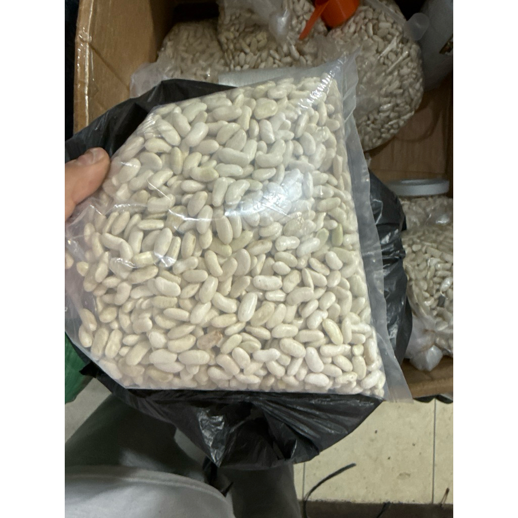 Benih bibit buncis logawa Repack isi 500gram