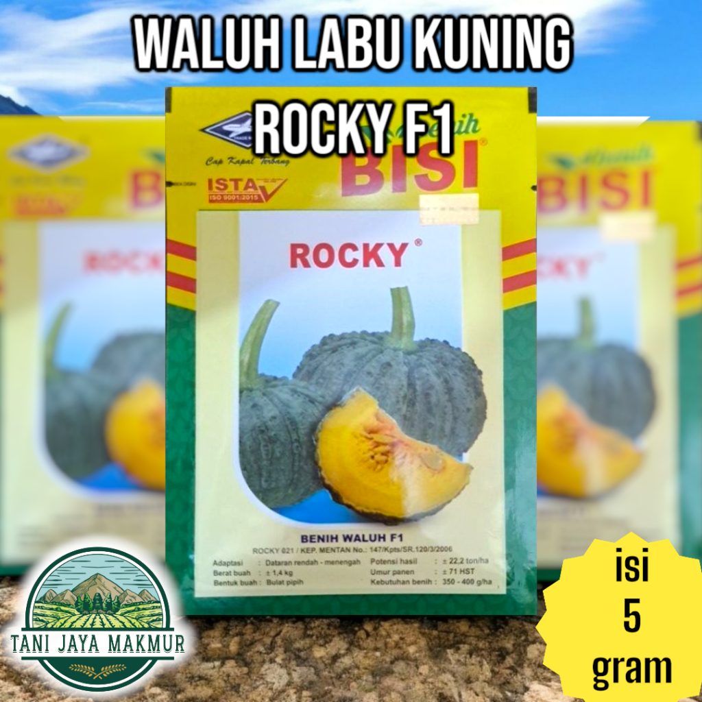 Benih Bibit Waluh Labu kuning ROCKY F1 Hybrid Pumpkin 5 gram