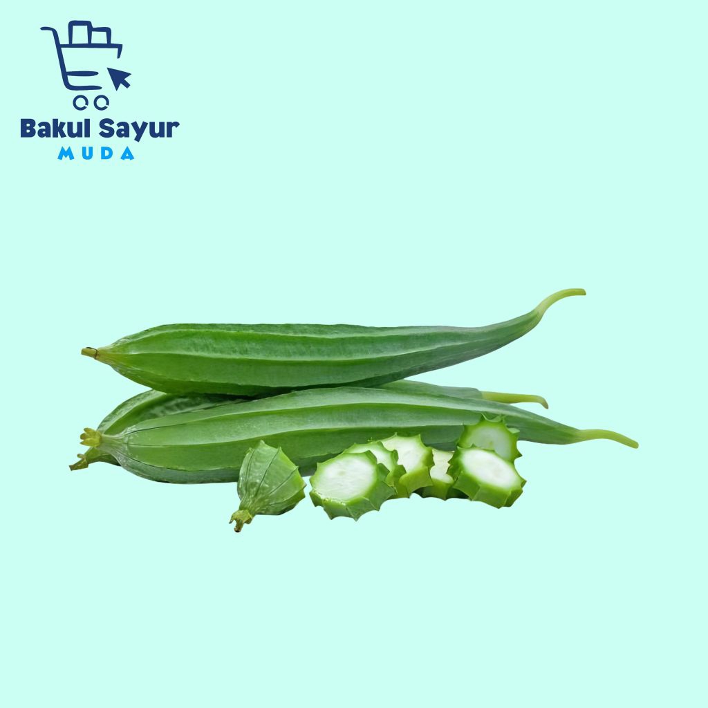 

Gambas Atau Oyong Segar 250 Gram