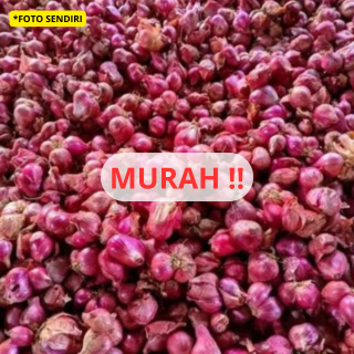 

BAWANG MERAH MURAH SEGAR KUALITAS NO1 LANGSUNG DARI PETANI