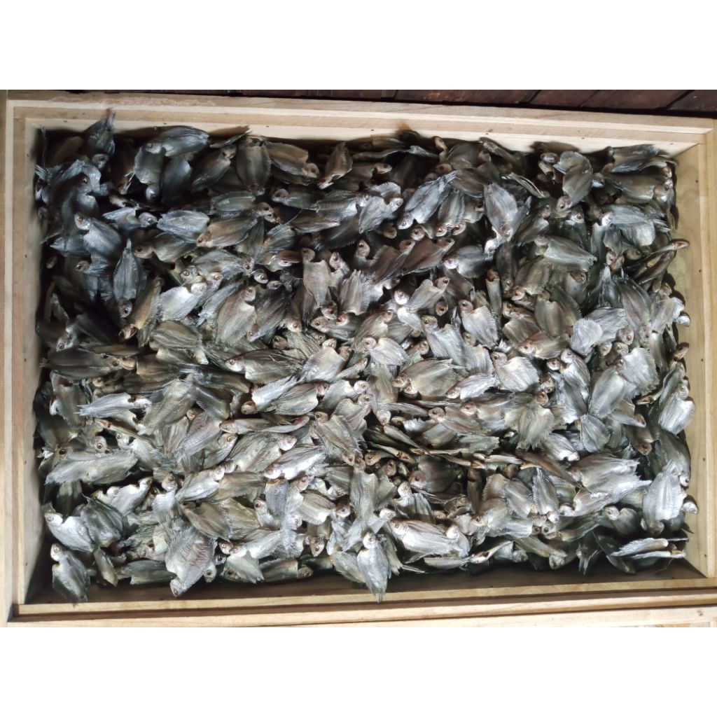 

ikan sapat kering hambar