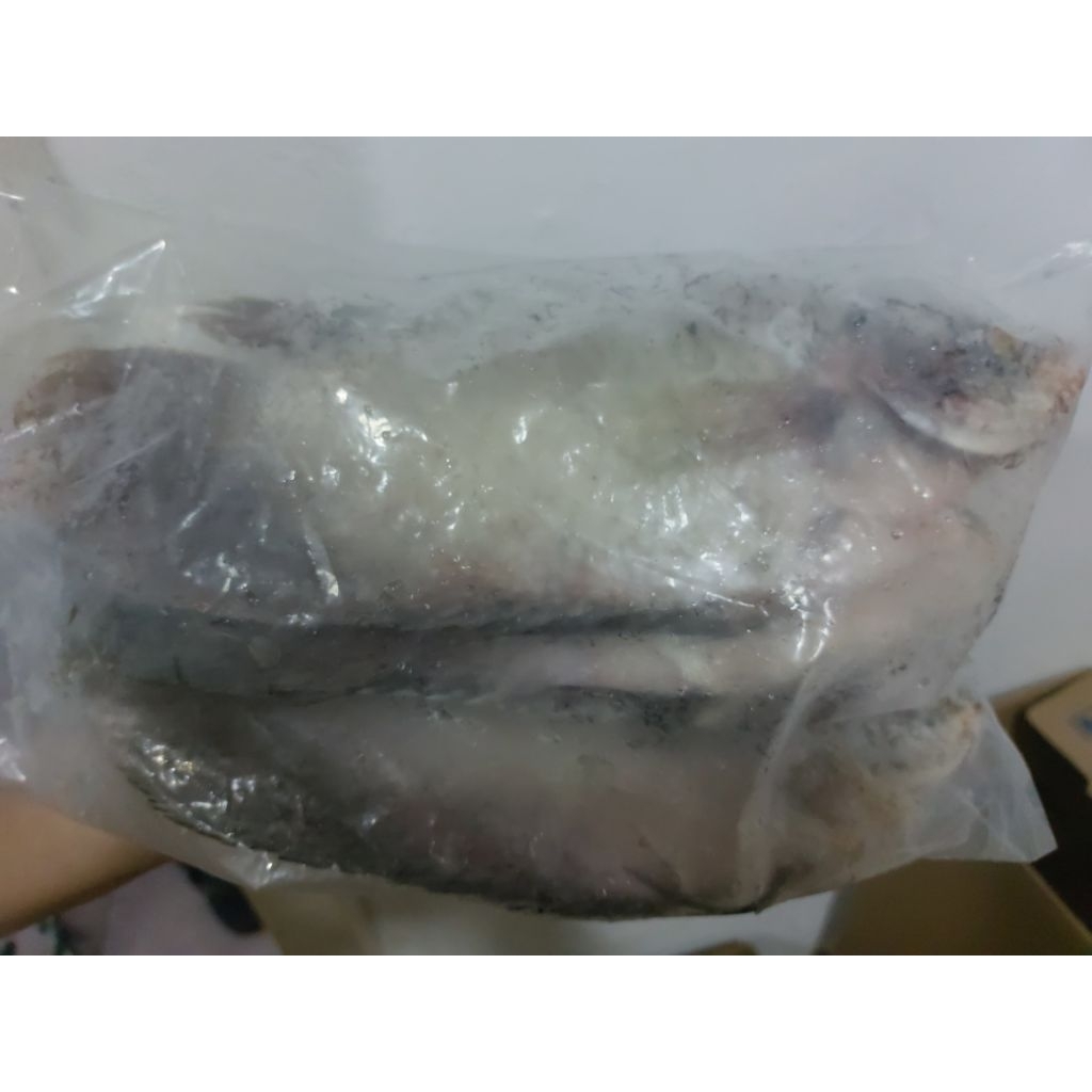 

Ikan Gurame 1kg