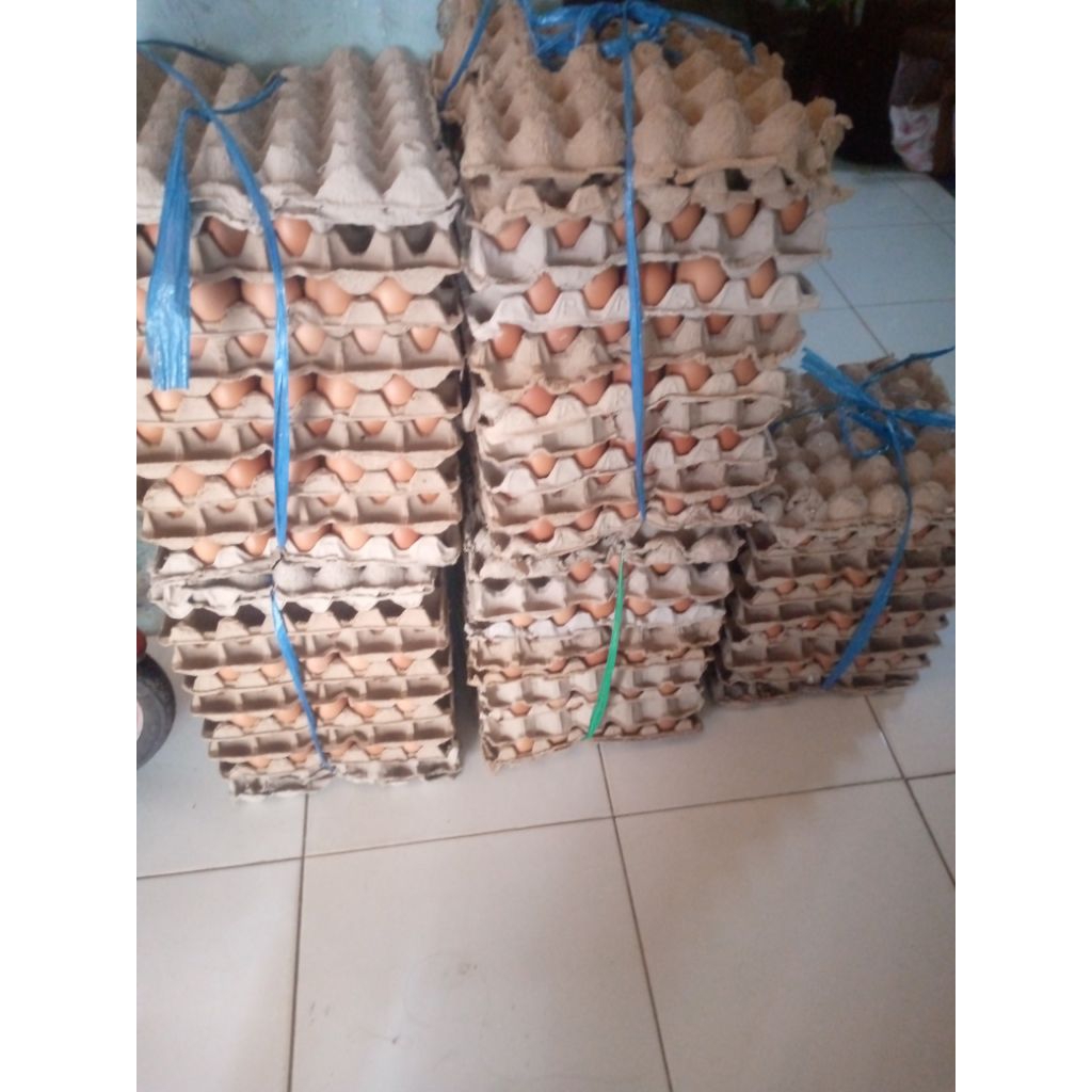

TELUR AYAM NEGERI GRADE A ISI 5 KG