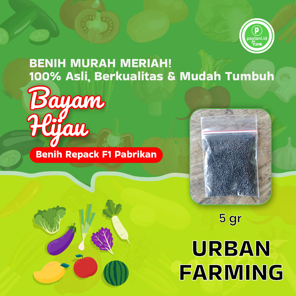 

Paytani.id Bayam Hijau Benih Repack F1 Pabrik 5 gr